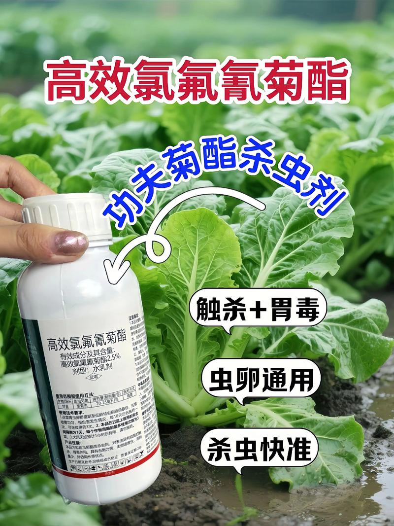 沙坪坝代生中心:农药对供卵代生妈妈的危害